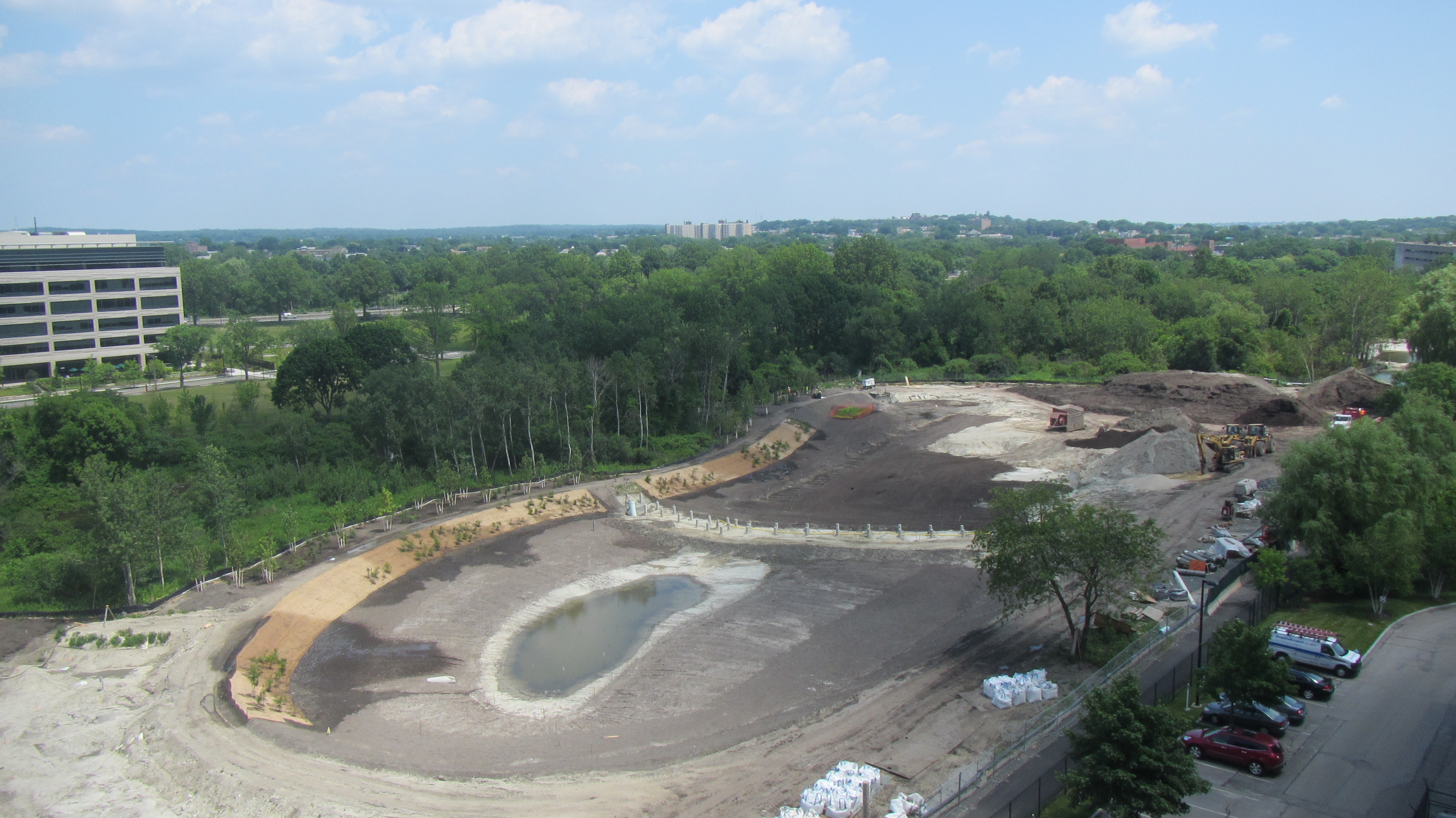 riparian planting_June 21 2012